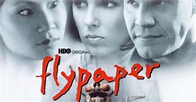 Flypaper - película: Ver online completas en español