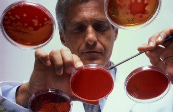 Check spelling or type a new query. Kinds of Training for a Bacteriologist | Chron.com