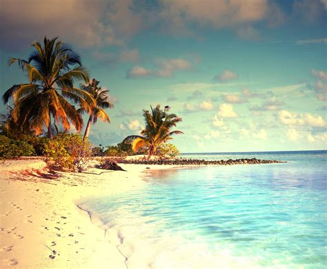 sea, Beach, Sand, Palm trees, Tropical water Wallpapers HD / Desktop 