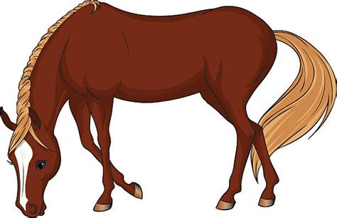 30 Horse Eating Pasture Stock Illustrations Royalty Free Vector
