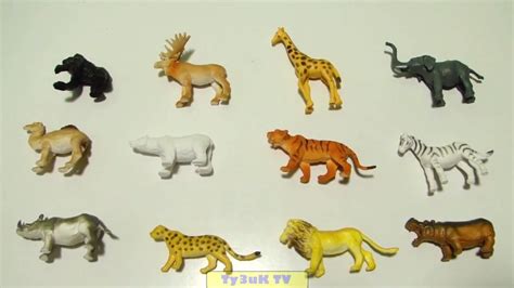 Learning Wild Animals Names And Sounds For Kids In English