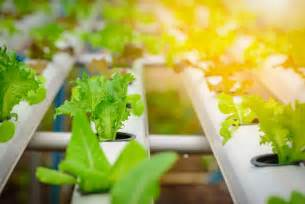 Vertical Farming A High Growth Trend Investment U