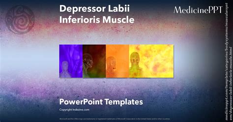Upon activation the depressor labii inferioris muscle pulls the lower lip downward and forward. Depressor Labii Inferioris Muscle - Medicine PowerPoint ...