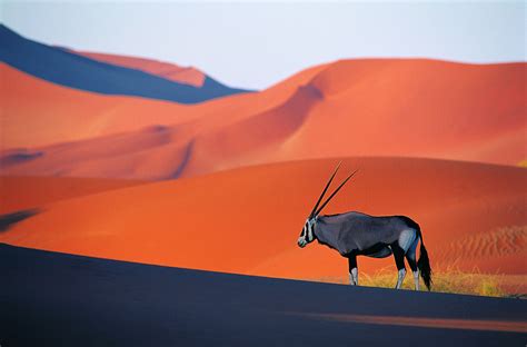 Namibia Travel Guide Essential Facts And Information
