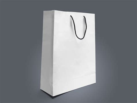 paper bag mockup  mockup