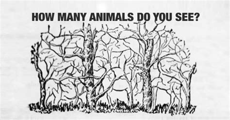 How Many Animals Do You See