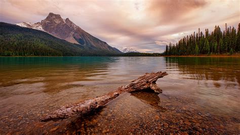 Fond Décran Lumière Du Soleil Des Arbres Paysage Forêt Montagnes