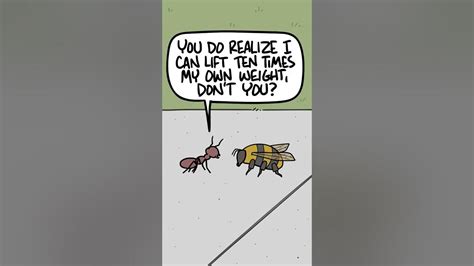 ant vs bee animated short youtube