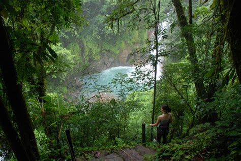 Rio Celeste And Tenorio Volcano Guided Rainforest Hike