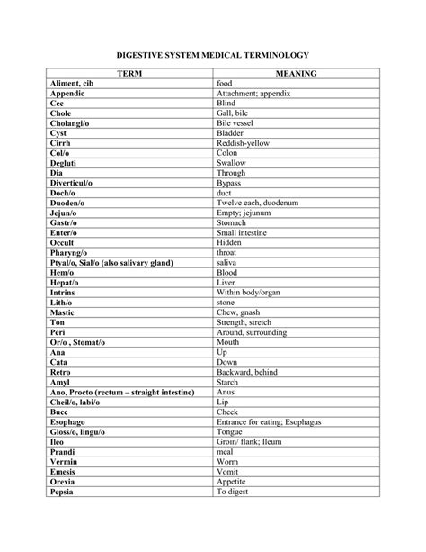 Beginner Printable Medical Terminology Worksheets
