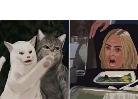 Cat Yelling At Woman Blank Template Imgflip