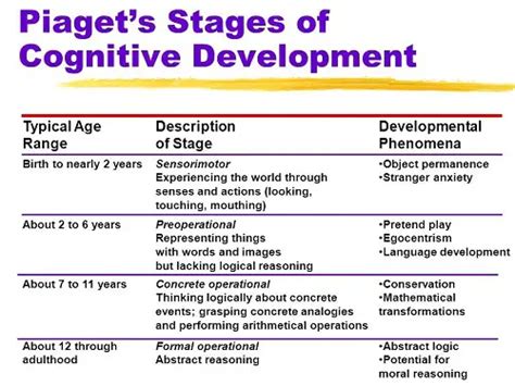 ⚡ Vygotsky Summary Vygotskys Theory Of Cognitive Development Stages