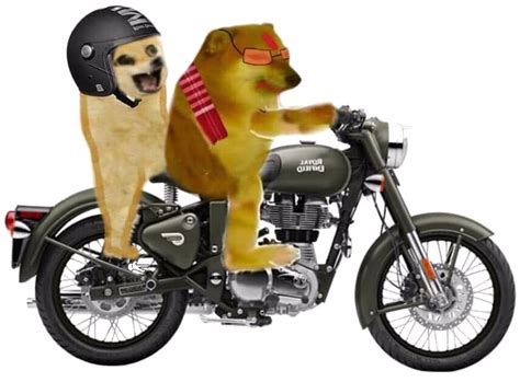 Cheems On Bike With Doge Meme Template Memesportal