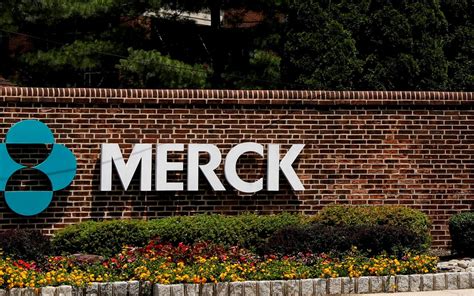 Merck Abre Vagas Para Estudantes De Biologia Biomedicina Farmácia E