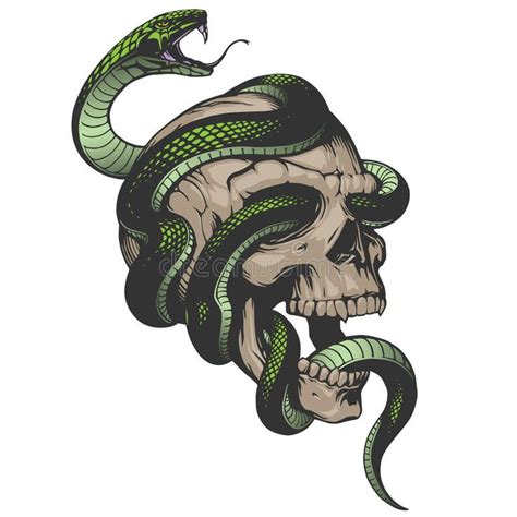 Skull With Snake Illustration In Vector On White