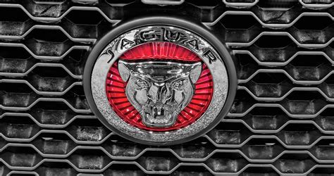 Jaguar Cars Emblem Photograph By John Straton Pixels