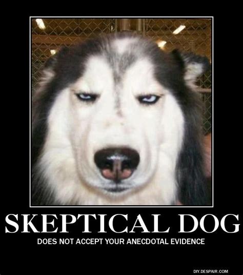Skeptical Dog My Funny Bone Skeptical Dogs Dog Quotes Funny Funny
