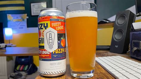 Bottle Logic Brewing Fuzzy Logic Peach Hazy Beer Review 853