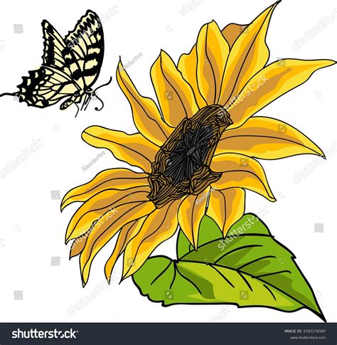 Sunflower Butterfly Vector Element Stock Vector Royalty Free