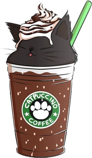 Cat Chat Starbuks Coffee Cafe Cute Sticker By 🌹 Dessin Chaton Fond D