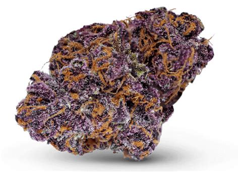 Buckeye Purple Recreational Cannabis Dispensary Theory Wellness