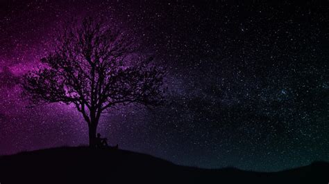 Wallpaper Tree Silhouette Starry Sky Dark Art Hd Widescreen