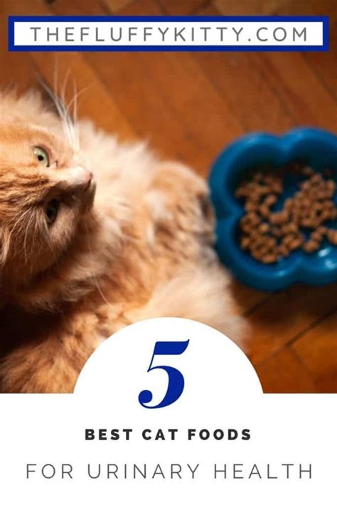 5 Best Cat Foods For Urinary Tract Health In Cats The Fluffy Kitty