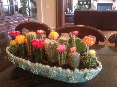Discover arizona cactus garden in palo alto, california: My Pinterest version of a cactus garden...Happy Mothers ...