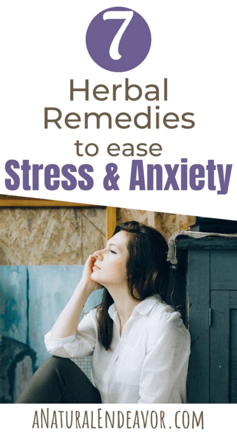 7 Herbal Remedies For Anxiety And Stress Relief A Natural Endeavor