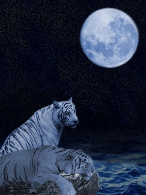 Night Tigers By O0muggledude0o On Deviantart