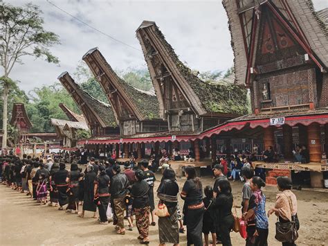 Rambu Solo Ritual Special Tana Toraja Funeral Ceremony