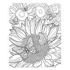 Incredibly beautiful flower coloring pages for adults will provide you with pleasure, clear consciousness and creative inspiration! 15 Beautiful Sunflower Coloring Pages For Your Little Girl