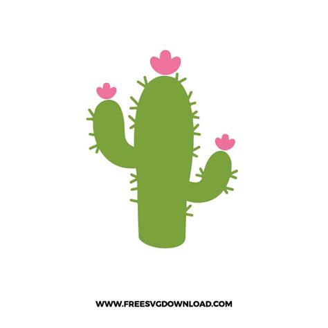 Cactus SVG & PNG free cut files 3 - Free SVG Download