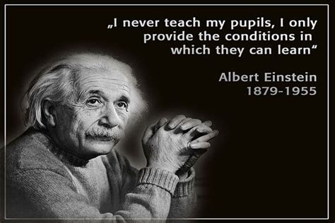 30 Unschooling Quotes Albert Einstein Quotes Education Education