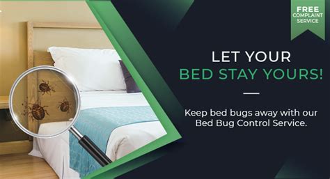 Bed Bugs Treatment Bed Bug Pest Control Services At Best Price Hicare