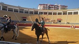 LOS TOROS CON AGUSTÍN HERVÁS.: MARBELLA: LEA VICENS, EL REJONEO POR DENTRO.