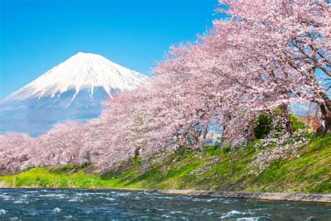 Hình ảnh Nhật Bản đẹp Ngất Ngây Khiến Ai Cũng Muốn Ngắm