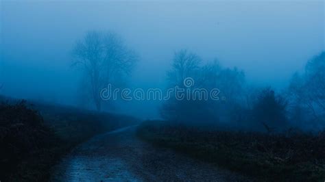 Evening In Moorland Stock Photo Image Of Lonely Cold 16385068