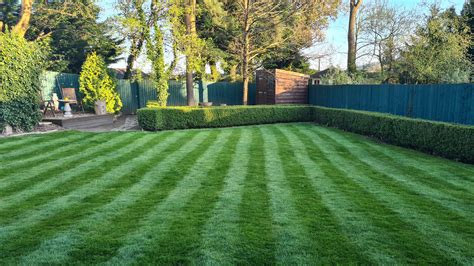 Bring your lawn to life - Blog - GreenThumb Lawn Treatment Service