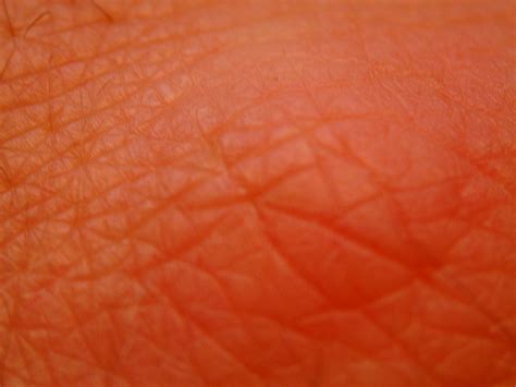 Imageafter Textures Leather Skin Orange Maartent Macro Flesh