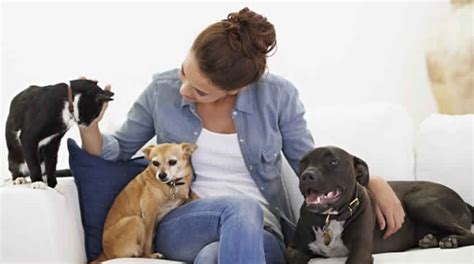 Pet sitters who work for themselves can make anywhere from $10,000 to over $100,000 research other pet sitting services. Pet People - Pet sitting, an alternative to dog hotels