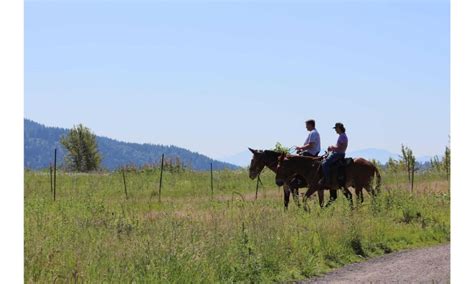 Lake George Horseback Riding Locations And Trails