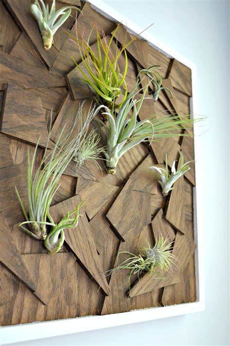 Image Result For Air Plant Wall Art Plant Wall Wood Wall Art Diy