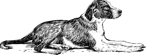 Lying Dog Stock Vector Illustration Of Hand Cute Drawn 30256693