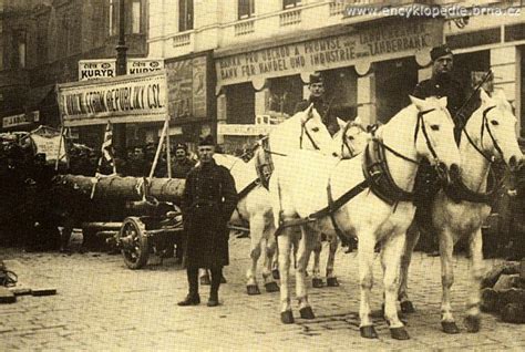 První Vánoční Strom V Československu Má Brno Epochapluscz