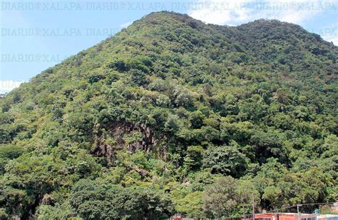 El Cerro del Borrego parte de la historia de México Diario de Xalapa