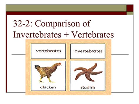 34 3 Comparison Of Invertebrates Vertebrates