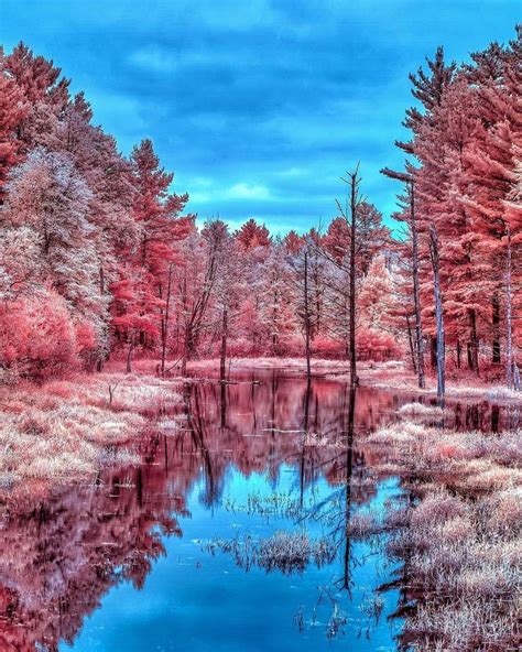 Dream In Pink 🌸photo By Jackmartinphotoart Pretty Nature Pictures