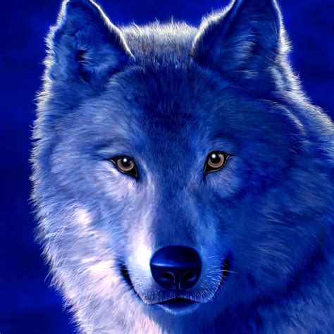 Wolf Forum Avatar Profile Photo Id 104242 Avatar Abyss