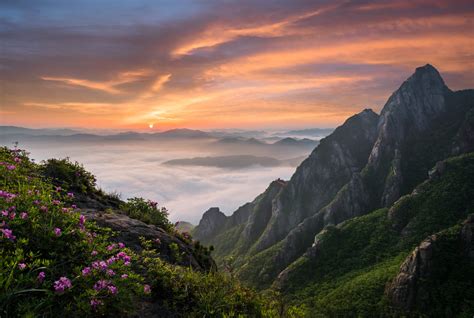 Nature Landscape South Korea Mountains Pink Flowers Clouds Rocks